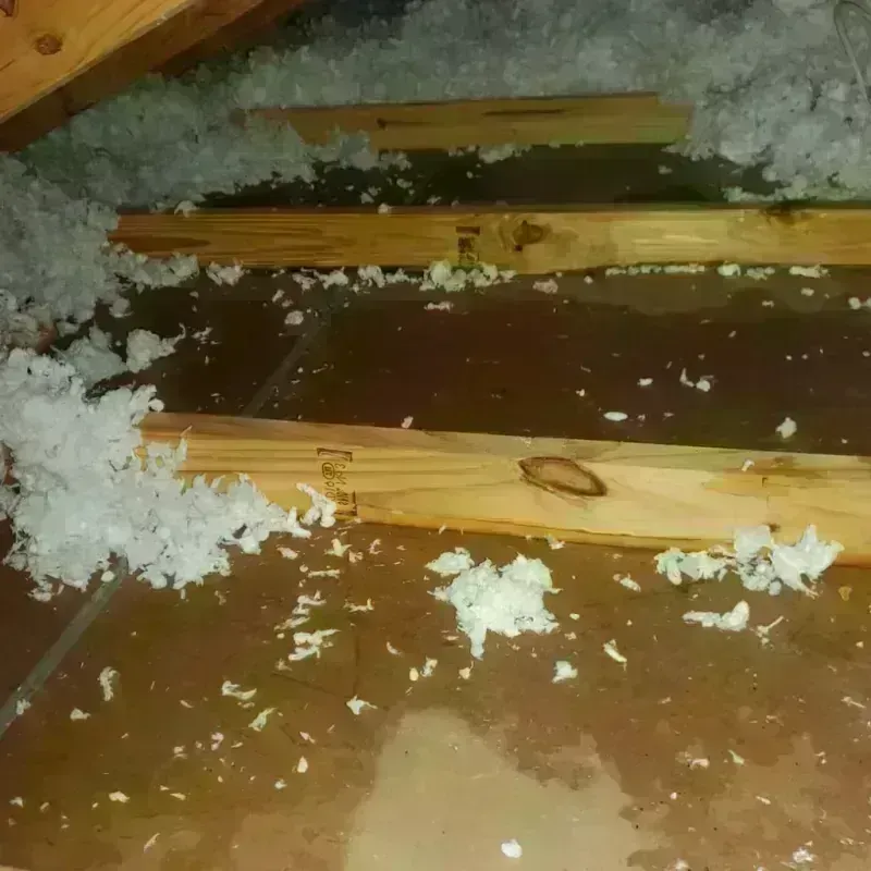 Attic Water Damage in Macy, NE